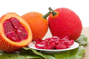 เนื้อผลไม้แช่แข็ง GAC ได้รับการรับรองมาตรฐาน BRC HACCP ขายส่งจากเวียดนาม - Product Image 6