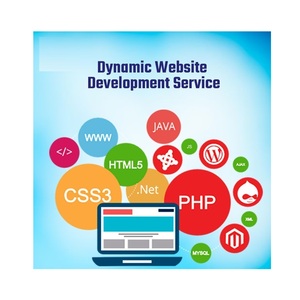 Conexión de Base de Datos Inteligente de Alta Calidad para Seguridad de Datos, Servicios Dinámicos para Sitios Web, Catálogo de Productos, Lista de Precios, Formulario de Pedidos - Product Image 1