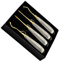 Set Alat Elevator Gigi Profesional Bersertifikasi CE 4 Pcs, Instrumen Bedah Mulut, Pelonggaran Gigi, Baja Anti Karat, Ujung Emas