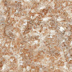 Carrelage en porcelaine poli numérique antibactérien antidérapant HD-218 600x600 mm 8,5 mm d'épaisseur, qualité supérieure pour les espaces commerciaux - Product Image 4