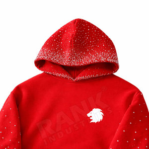 Sudadera con Capucha de Algodón 100% con Pedrería para Hombre, Diseño Llamativo con Brillantina Ecológica, Estilo Casual de Invierno, Básico y Moderno para Uso Diario - Product Image 4