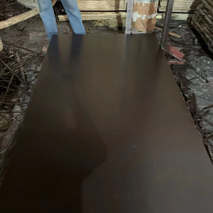 Contreplaqué Fomex standard, contreplaqué pour coffrage, 18 mm, filmé noir et brun, 1220x2440 - Product Image 1