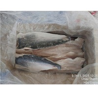 Filets de poisson Pangasius congelés IQF, qualité A/B, avec peau, 10-12 cm, provenance Vietnam, emballage en vrac, durée de conservation 24 mois, produits de la mer