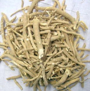 Poudre d'extrait de racine d'Ashwagandha sauvage de haute qualité en gros, extraite par solvant, pure et naturelle, supplément à base de plantes de ginseng indien - Product Image 4