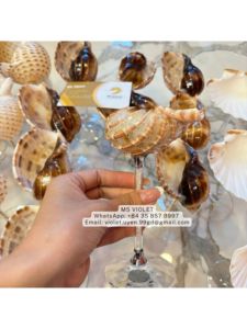 แก้วไวน์สีชมพูทรงกลีบดอกไม้ สำหรับน้ำผลไม้/มิลค์เชค/มาร์ตินี่ แก้วทรงสูงใส ทำด้วยมือ ทนทาน ดีไซน์ทันสมัย ความจุ 240-280 มล. - Product Image 2