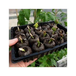 เม็ดมะพร้าวอัดแท่งขายดี น้ำมันเชื้อเพลิงชีวมวลมะพร้าวบริสุทธิ์สำหรับให้ความร้อนแก่หม้อไอน้ำและพลังงานอุตสาหกรรม เผาไหม้เสถียรและจัดการง่าย - Product Image 4