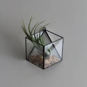 Unique Glass Metal Terrarium Planter Elegant Indoor Plant Display Box Geometric Home Accent - Product Image 1