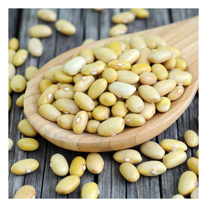 Frijoles amarillos a precio de descuento disponibles para tiendas de comestibles y distribuidores de alimentos - Product Image 6