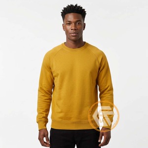 Alfa Personalizado |   Sudadera Phi Solid 100% Algodón Fleece Bordada Transpirable de Secado Rápido para Invierno, Corte Regular, 500g, para Hombre, Estilo Griego - Product Image 2