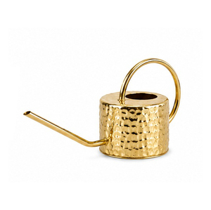 Cream Metal Watering Can with <b>Gold</b> Handle and Spout Durable Garden Tool <b>Painting</b> Finish - Product Image 5