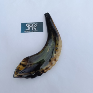 Corne de bélier de qualité supérieure, finition durable au son naturel poli Shofar pour les cérémonies religieuses juives Rituels spirituels et culte - Product Image 4