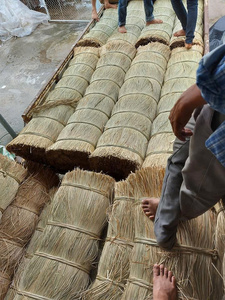 Cheap Price for Retailers Thick 100% Seagrass Rope Braided <b>String</b> Natural Straw Yarn for Handicraft Decor Vietnam Origin - Product Image 6