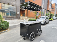 Chariot de plage commercial électrique en fibre de verre pour mini-congélateur de glaces, chariot à main pour la vente de crème glacée