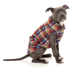 Vêtements pour chiens très demandés, manteaux d'hiver chauds en flanelle, design à carreaux, sans manches, boutonnés - Product Image 1