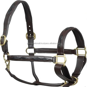 Harnais de cheval en cuir rembourré, de qualité supérieure, populaire, luxueux, élégant, parfait, réglable et tendance - Product Image 4