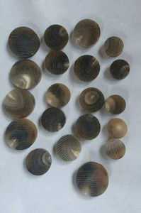 ผู้ผลิตปุ่มเปล่าสีดำแตรธรรมชาติ - Product Image 6