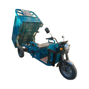 三轮成人电动货运农用三轮车 60V 热销乡村道路运输货物小型电动三轮车 - Product Image 2