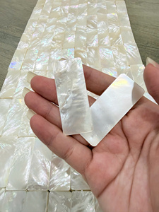 Fragments de nacre blanche pour l'art en résine et la décoration - Product Image 2