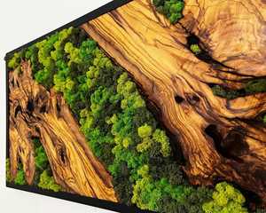 Panel de Arte Mural de Musgo de Madera de Lujo, Hecho a Mano, Decoración de Musgo Natural, Arte Rústico Inspirado en el Bosque, Decoración de Pared con Resina Epoxi - Product Image 2