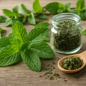 WARRLY Polvo de Albahaca Sagrada Premium, Extracto Herbal de Tulsi, Superalimento 99% Puro, Grado Alimenticio, Envasado al Vacío, Suministro a Granel, OEM, Marca Privada - Product Image 1