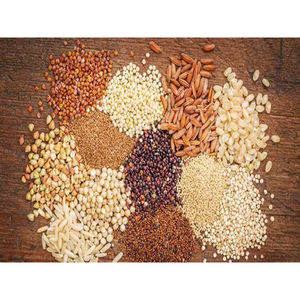 Millet pour l'alimentation animale - Graine nutritive pour la volaille, le bétail et les animaux de compagnie - Product Image 1