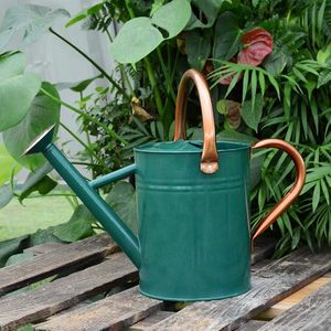 Arrosoir vintage en métal vert avec poignée en bois, pot d'arrosage de jardin - Product Image 5