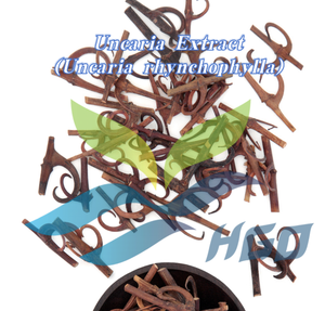 Extrait naturel d'Uncaria (Uncaria rhynchophylla) de qualité alimentaire, rhynchophylline 15 % standardisée, fourni directement par l'usine HGO - Product Image 3