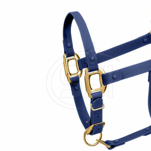 Durabilité durable, cuir de haute qualité, bride d'équitation personnalisable, conçue pour une utilisation fiable, ajustement confortable, utilisation quotidienne - Product Image 3