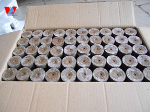 เม็ดมะพร้าวอินทรีย์สำหรับการเริ่มต้น/เม็ดมะพร้าวพรุ: ฝักใยมะพร้าวย่อยสลายได้สำหรับการขยายพันธุ์/น้ำมะนาว - Product Image 2