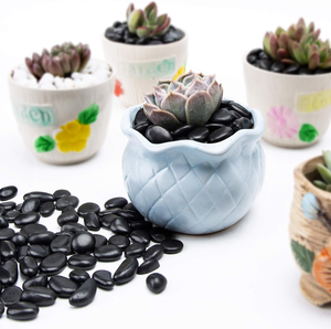 Ciottoli Neri Naturali Lucidati <span class=keywords><strong>per</strong></span> Decorazione <span class=keywords><strong>Piante</strong></span> Succulente, Pietra di Fiume <span class=keywords><strong>per</strong></span> Acquario, Terrario, Pavimentazione, Ghiaia da Giardino - Product Image 6