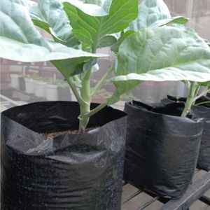 Sac de culture en polyéthylène noir de haute qualité 45x45cm, paquet de 1kg, 30 pièces |   Sac de plantation robuste pour l'agriculture - Product Image 4