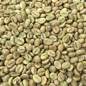 Café en Grano a Granel de Alta Calidad A, 60 kg, Pureza del 95 al 99%, Robusta Honey Tamaño 16, Vietnam, Verde Puro - Product Image 2