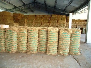 ใยมะพร้าวอัดแน่นขนาด 48*30*18 นิ้ว สำหรับทำที่นอนเชือกและงานหุ้มเบาะ | วัสดุหน่วงไฟ | ส่งออกจากอินเดีย - Product Image 4