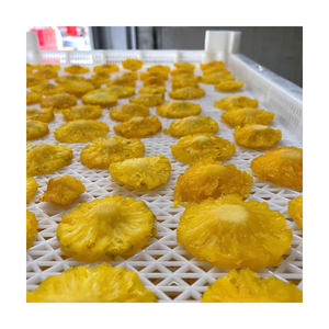 Piña Deshidratada de Rápida Venta, Suministro a Granel, Piña Masticable, Fabricante de Vietnam - Product Image 2