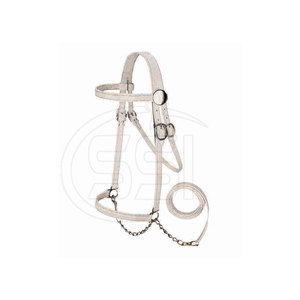 Brida Ecuestre de Cuero Premium para Montar al Aire Libre con Construcción Duradera para Actividades de Equitación Regulares - Product Image 2