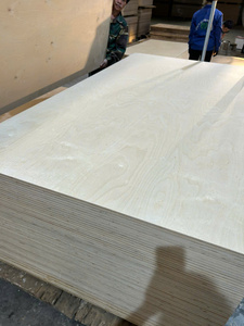 Contreplaqué en placage de bouleau 1250 x 2500 1220 x 2400 mm, qualité D/DD, certifié E0 E1 CARB P2 pour la fabrication de meubles et les panneaux intérieurs - Product Image 3