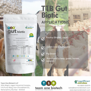 Los probióticos para ganado mejoran la absorción de nutrientes - Product Image 1