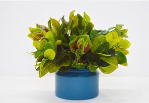 Premium <b>Mini</b> Hot Selling Powder Coated Antique Color Nickel Plated Aluminum Flower <b>Vase</b> Luxuries Style <b>Vase</b> for Luxuries Home - Product Image 2