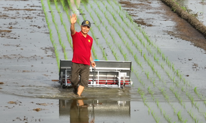 Origin 6 <b>rows</b> x 20cm Rice Planting <b>Machine</b> - Product Image 3