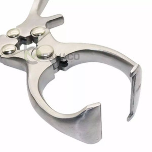เครื่องมือผ่าตัดสัตว์ คีมตัดอวัยวะเพศสัตว์ สแตนเลส 23 ซม. ขายดี บริการ OEM - Product Image 6