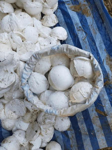 Vietnam Lump Cup <b>Rubber</b> | Natural <b>Rubber</b> Raw Material for Tire & Industrial Use - Product Image 2