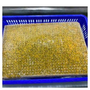 High Quality Frozen Passion Fruit Pulp for Smoothie Juice Brands and Food Industry with Stable Supply - Product Image 1