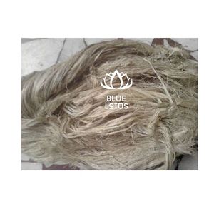 BEST SELLER Fibre de banane naturelle |   Fibre durable de haute qualité pour matériaux composites - Product Image 1