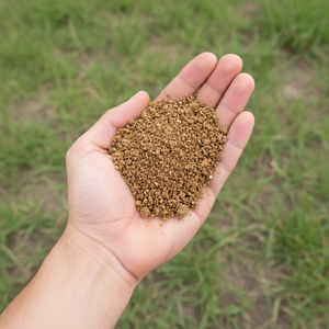 Harina de Copra de Alta Energía 23 MJ/kg para Engorde de Ganado y Producción Láctea - Product Image 2