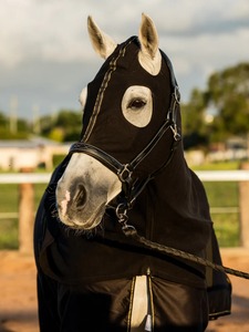 High Quality Rugs Heavy <b>Weight</b> Fleece Warm Winter Horse Rug Waterproof Horse Rug Horse Riding <b>Blanket</b> on Sale - Product Image 1