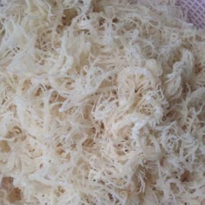 Alga Marina Vietnam Cottonii de Alta Calidad, Material Vegetal Marino Seco para la Producción de Espesante y Estabilizador Alimentario - Product Image 1