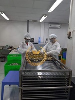 Kualitas tinggi ikan telur asin Vietnam kulit Crispy lezat ikan Salmon goreng kucing dengan makanan ringan telur asin dengan harga murah
