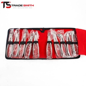 Juego de 10 Pinzas de Extracción Dental Modernas TSI, Instrumentos Manuales de Acero Inoxidable para Extracción Precisa de Dientes y Uso Clínico - Product Image 2