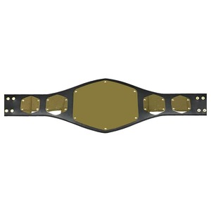 Ceintures de championnat de lutte personnalisées en promotion avec logo sur mesure – Équipement universel de arts martiaux lourds – Fournisseur en gros - Product Image 5