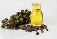 Minyak Jarak Murni 100% Tanpa Pemurnian, Minyak Esensial Biji yang Diperas Dingin, Aroma Alami untuk Kosmetik